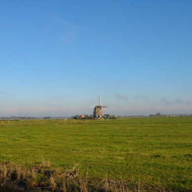 Rijksdienst voor het Cultureel Erfgoed: Terpstra, Frank