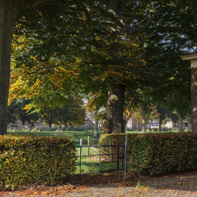 Rijksdienst voor het Cultureel Erfgoed: Jong, Nanette de