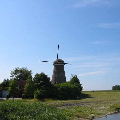 Rijksdienst voor het Cultureel Erfgoed: Terpstra, Frank