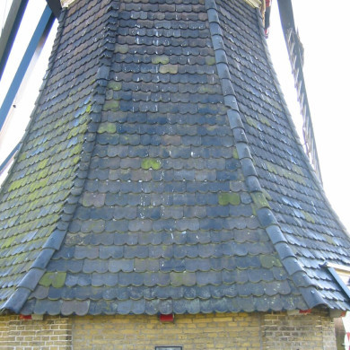 Rijksdienst voor het Cultureel Erfgoed: Terpstra, Frank