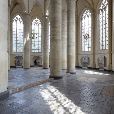 Rijksdienst voor het Cultureel Erfgoed: Schaap, Marchje