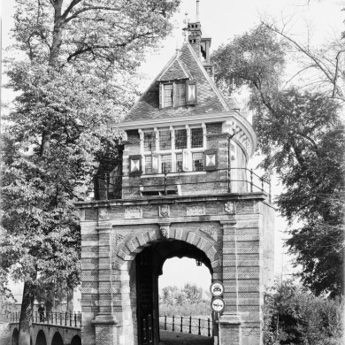 Rijksdienst voor het Cultureel Erfgoed: Delemarre, G.Th.