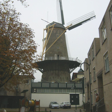 Rijksdienst voor het Cultureel Erfgoed: Terpstra, Frank