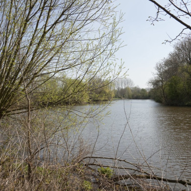 Rijksdienst voor het Cultureel Erfgoed: Booms, C.S. (Chris)-Galen, P. (Paul) van