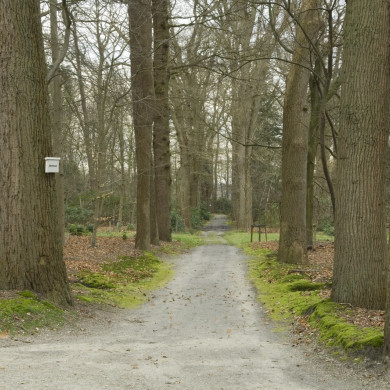 Rijksdienst voor het Cultureel Erfgoed: Galen, Jan van