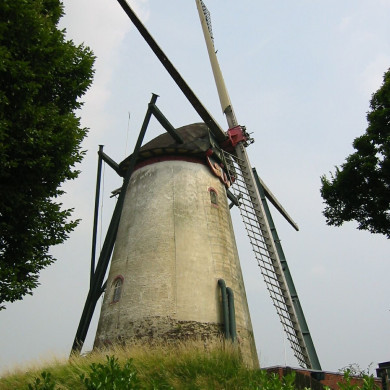 Rijksdienst voor het Cultureel Erfgoed: Terpstra, Frank