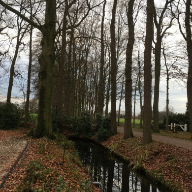 Rijksdienst voor het Cultureel Erfgoed: Wal, Henry van der