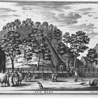 Rijksdienst voor het Cultureel Erfgoed: Delemarre, G.Th.