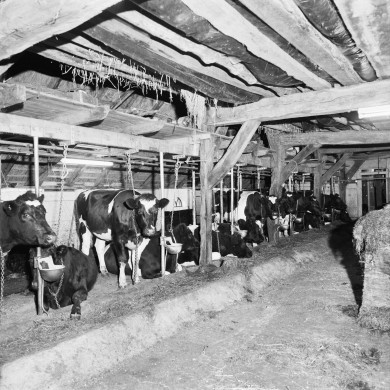 Rijksdienst voor het Cultureel Erfgoed: Wal, A.J. van der