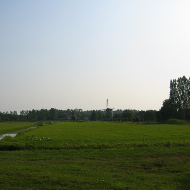 Rijksdienst voor het Cultureel Erfgoed: Terpstra, Frank