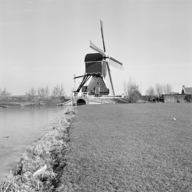 Rijksdienst voor het Cultureel Erfgoed: Heins, IJ.Th.