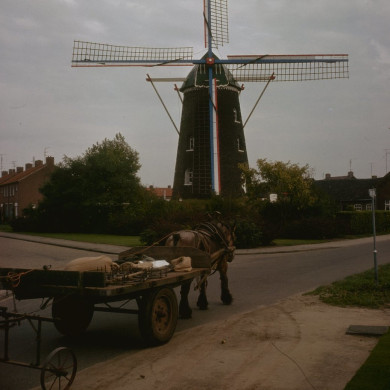 Rijksdienst voor het Cultureel Erfgoed: Tangel, L.M.