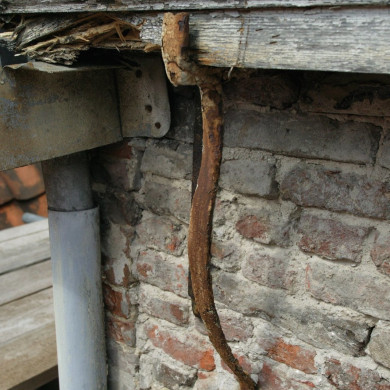 Rijksdienst voor het Cultureel Erfgoed: Galen, P. (Paul) van