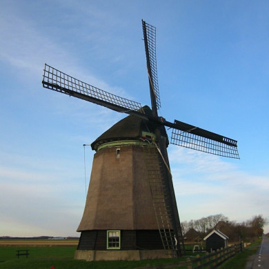 Rijksdienst voor het Cultureel Erfgoed: Terpstra, Frank
