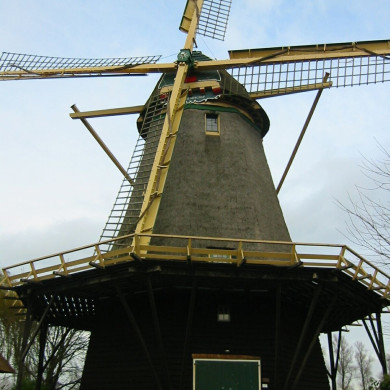 Rijksdienst voor het Cultureel Erfgoed: Terpstra, Frank