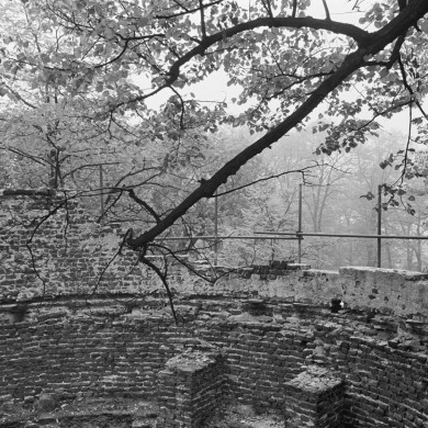 Rijksdienst voor het Cultureel Erfgoed: Tangel, L.M.