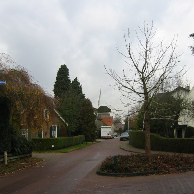 Rijksdienst voor het Cultureel Erfgoed: Terpstra, Frank