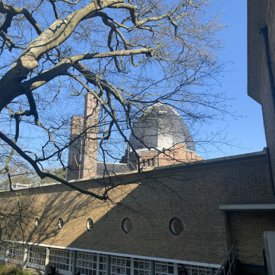 Rijksdienst voor het Cultureel Erfgoed: Bogers, Guido