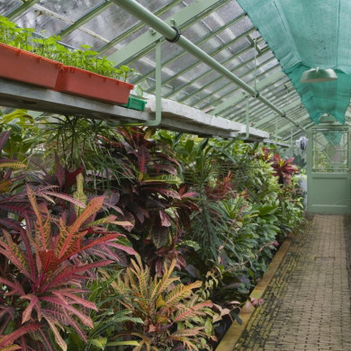 Rijksdienst voor het Cultureel Erfgoed: Roderburg, K. (Kris)