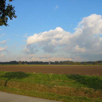 Rijksdienst voor het Cultureel Erfgoed: Terpstra, Frank
