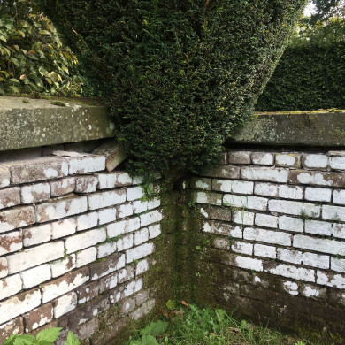 Rijksdienst voor het Cultureel Erfgoed: Wal, Henry van der