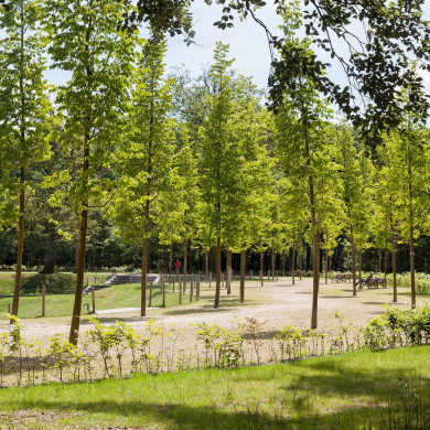 Rijksdienst voor het Cultureel Erfgoed: Speelman, Albert