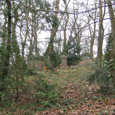 Rijksdienst voor het Cultureel Erfgoed