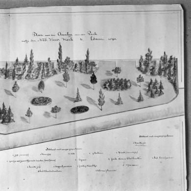 Rijksdienst voor het Cultureel Erfgoed: Rozema, J.