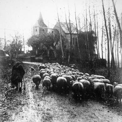Rijksdienst voor het Cultureel Erfgoed
