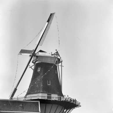 Rijksdienst voor het Cultureel Erfgoed: Bicker Caarten, A.