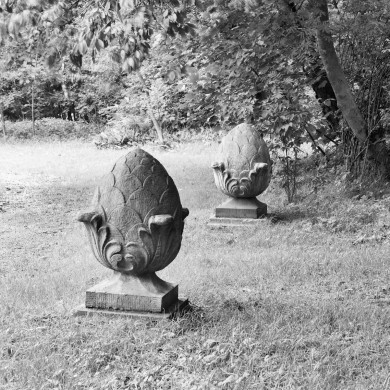 Rijksdienst voor het Cultureel Erfgoed: Wal, A.J. van der