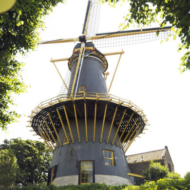 Rijksdienst voor het Cultureel Erfgoed: Galen, Jan van