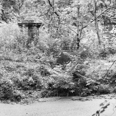 Rijksdienst voor het Cultureel Erfgoed: Wal, A.J. van der