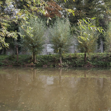 Rijksdienst voor het Cultureel Erfgoed: Roderburg, K. (Kris)-Booms, C.S. (Chris)