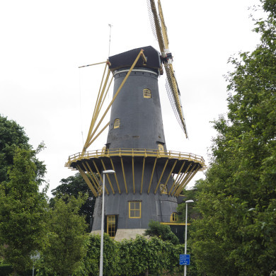 Rijksdienst voor het Cultureel Erfgoed: Galen, Jan van