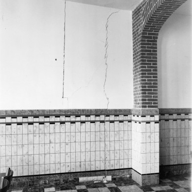 Rijksdienst voor het Cultureel Erfgoed: Delemarre, G.Th.