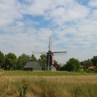 Rijksdienst voor het Cultureel Erfgoed: Terpstra, Frank