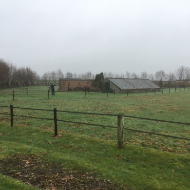 Rijksdienst voor het Cultureel Erfgoed: Wal, Henry van der
