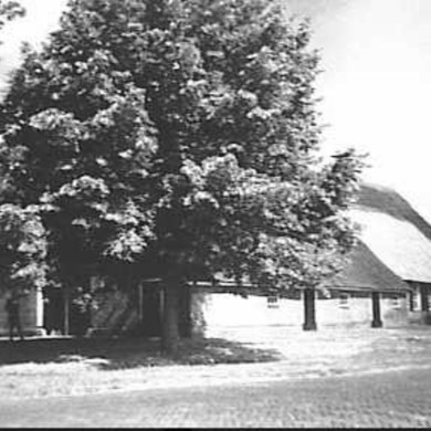 Rijksdienst voor het Cultureel Erfgoed: Jong, L. de