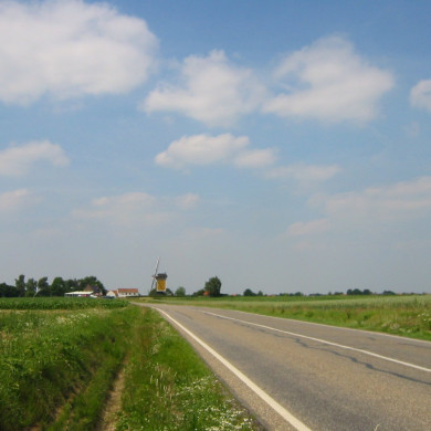 Rijksdienst voor het Cultureel Erfgoed: Terpstra, Frank