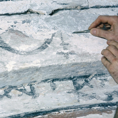 Rijksdienst voor het Cultureel Erfgoed: Tangel, L.M.