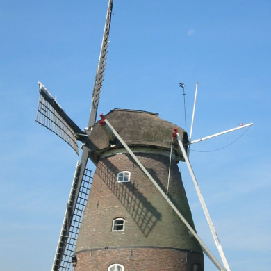 Rijksdienst voor het Cultureel Erfgoed: Terpstra, Frank