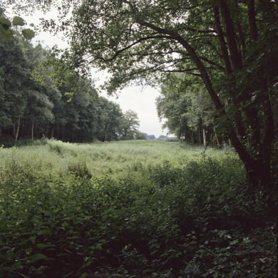 Rijksdienst voor het Cultureel Erfgoed: Roderburg, K. (Kris)