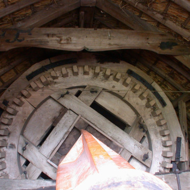 Rijksdienst voor het Cultureel Erfgoed: Terpstra, Frank