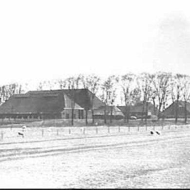 Rijksdienst voor het Cultureel Erfgoed