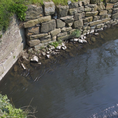 Rijksdienst voor het Cultureel Erfgoed: Booms, C.S. (Chris)