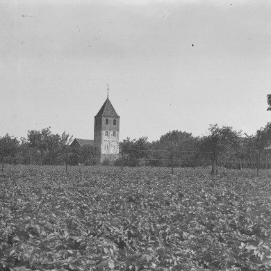Rijksdienst voor het Cultureel Erfgoed