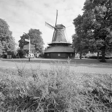 Rijksdienst voor het Cultureel Erfgoed: Heins, IJ.Th.