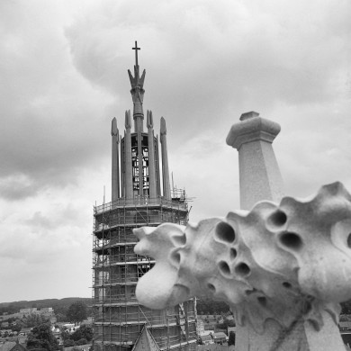Rijksdienst voor het Cultureel Erfgoed: Tangel, L.M.