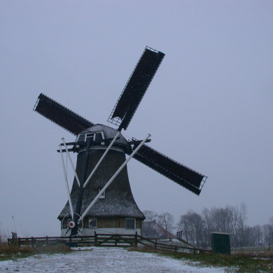 Rijksdienst voor het Cultureel Erfgoed: Terpstra, Frank